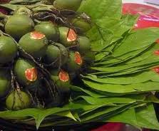 Cultura vietnamita de betel y areca